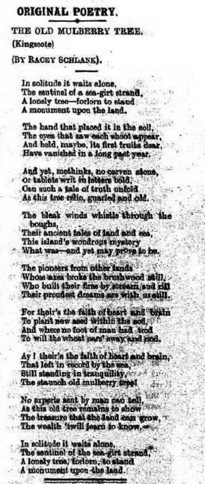 Old Mulberry Tree Poem