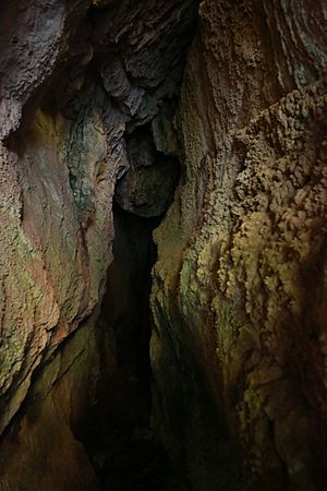 Painter's Cave Gibraltar 01