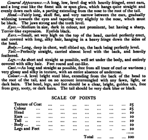 PaisleyStandard1903