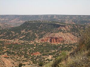 Palo Duro landscape IMG 0101