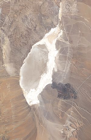 Parque Nacional Llullaillaco (Salar de Punta Negra)