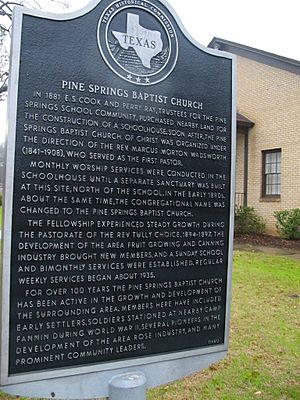 Pine Springs Baptist Church Plaque.jpg