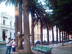 Plaza curico