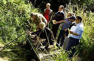 Pond dipping at LWT Gunnersbury Triangle