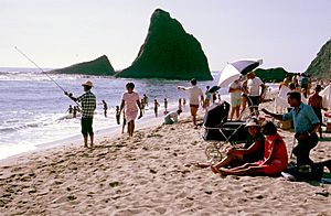 Popular Martins Beach (14883284959)