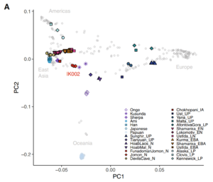 Principal component analysis of ancient and present-day individuals from worldwide populations