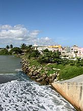 Río Grande de Arecibo