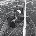 Removing salmon from gillnet
