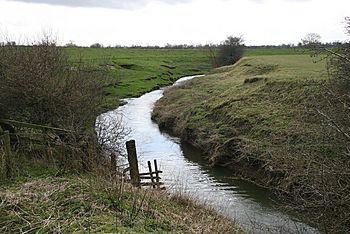 River Wiske - geograph.org.uk - 741802.jpg