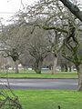 Roseway Neighborhood