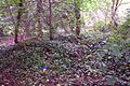 Rubble-ruins-Worcester-Park-House-02