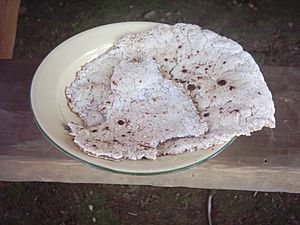 Sago pancake Papua New Guinea