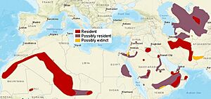 SandCat distribution.jpg