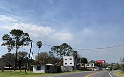 Satsuma, Florida.jpg