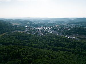 SchuylkillHavenAerial