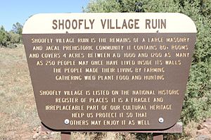 Shoofly Village Ruin, A Prehistoric Community