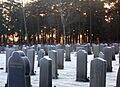 Skogskyrk 2006y