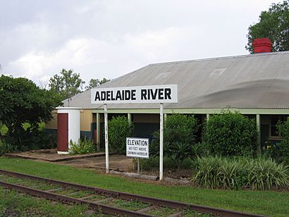Station Adelaide River 2.jpg