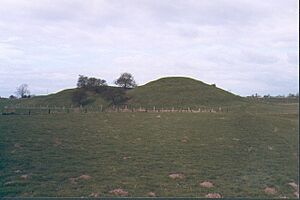 Topcliffe Motte, Maiden Bower. - geograph.org.uk - 316741