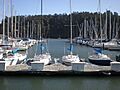 Treasure Isle Marina 1