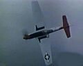 Tuskegee Airmen Red Tail Mustang