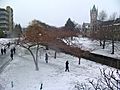 University of Otago grounds in winter