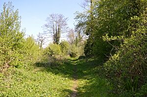 Uxbridge Alderglade 6
