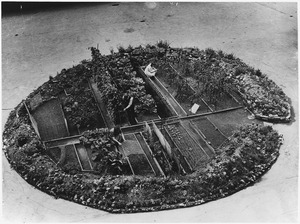Victory Gardens. Where the Nazi's sowed death, a Londoner and his wife have sown life-giving vegetables in a London... - NARA - 196480