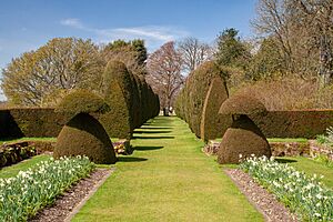 Yew Path, Hinton Ampner