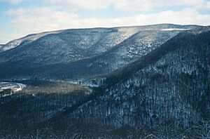 Yough Gorge