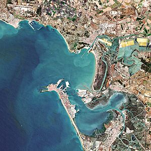 (Bahía de Cádiz) Seville, Spain (49104522676) (cropped)