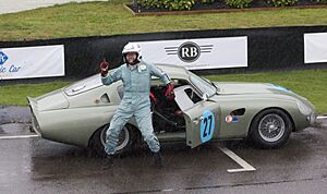 Aston Martin DP212 at Goodwood, 2013.jpg