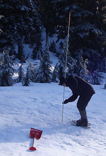 Avalanche probe in use 2