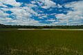Big Marsh Gunnerson Marsh in August Washington Island Wisconsin