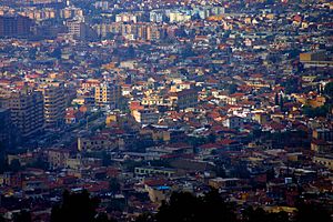 Blida houses