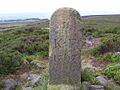 Boundary Stone Knaresborough Forest 1767 - geograph.org.uk - 463095