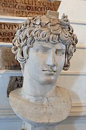 Bust Antinoos Musei Capitolini MC294
