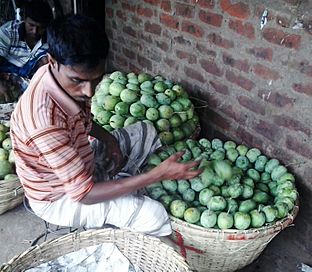 Busy mango seller, rohonpur market, chapainababagonj, Bangladesh