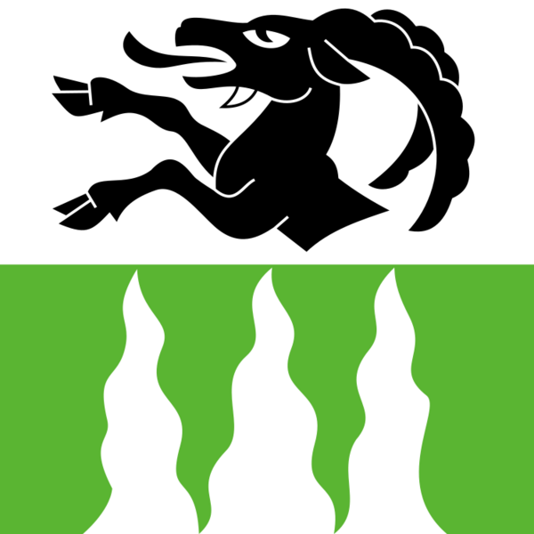 CHE Lauterbrunnen Flag
