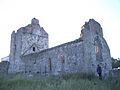Cahir Abbey