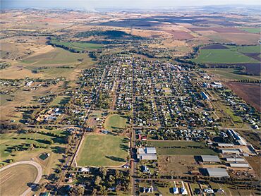 Canowindra Aerial 2022.jpg