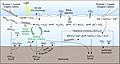 Carbon cycle processes in high-latitude shelf seas