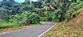Carretera PR-8811, Naranjito, Puerto Rico (2)