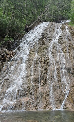 Chute a Pico