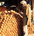 Coconut Market