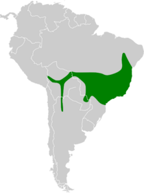 Colibri serrirostris map.svg