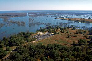 Cooper-Jim Chapman Lake