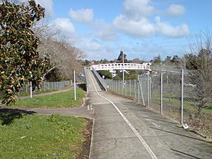 Cycle Bridge Going Over Great North Road