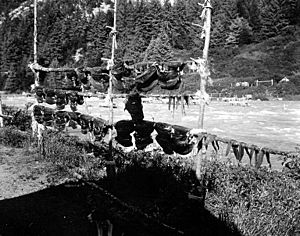 Drying salmon on fish racks, Chilkoot River, Alaska, August 14, 1911 (COBB 192)