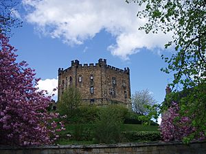Durham Castle keep (April)